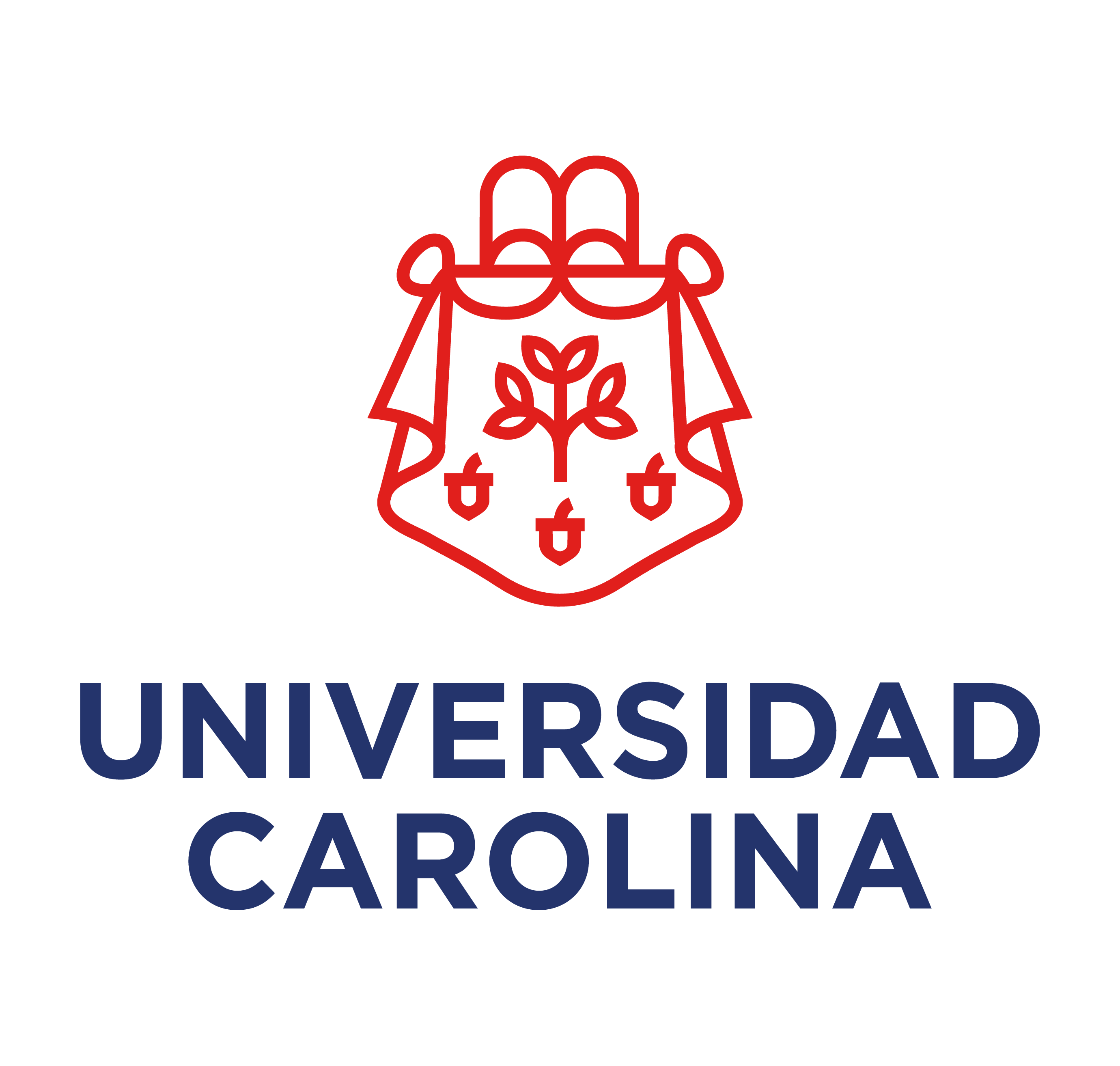 Universidad Carolina